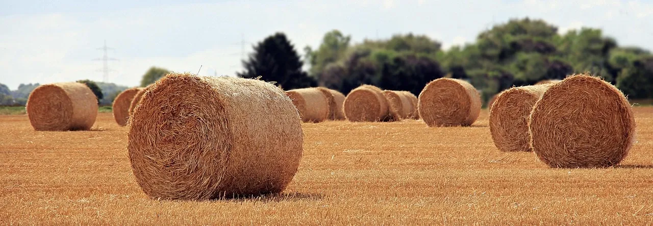 European agricultural straw used as biomass feedstock